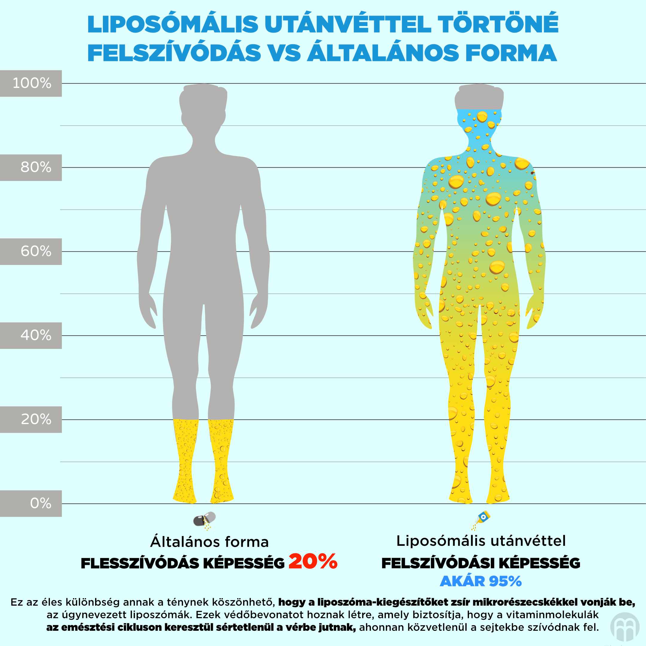 vstrebavani lipozomu_infografika1_hu